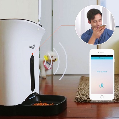 Jempet automatic pet feeder manual online